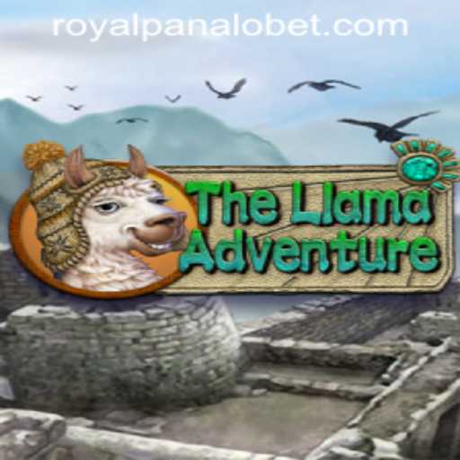 The Llama Adventure: A Comprehensive Guide